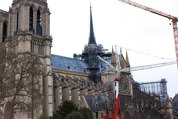 Mold Prevention  Remediation